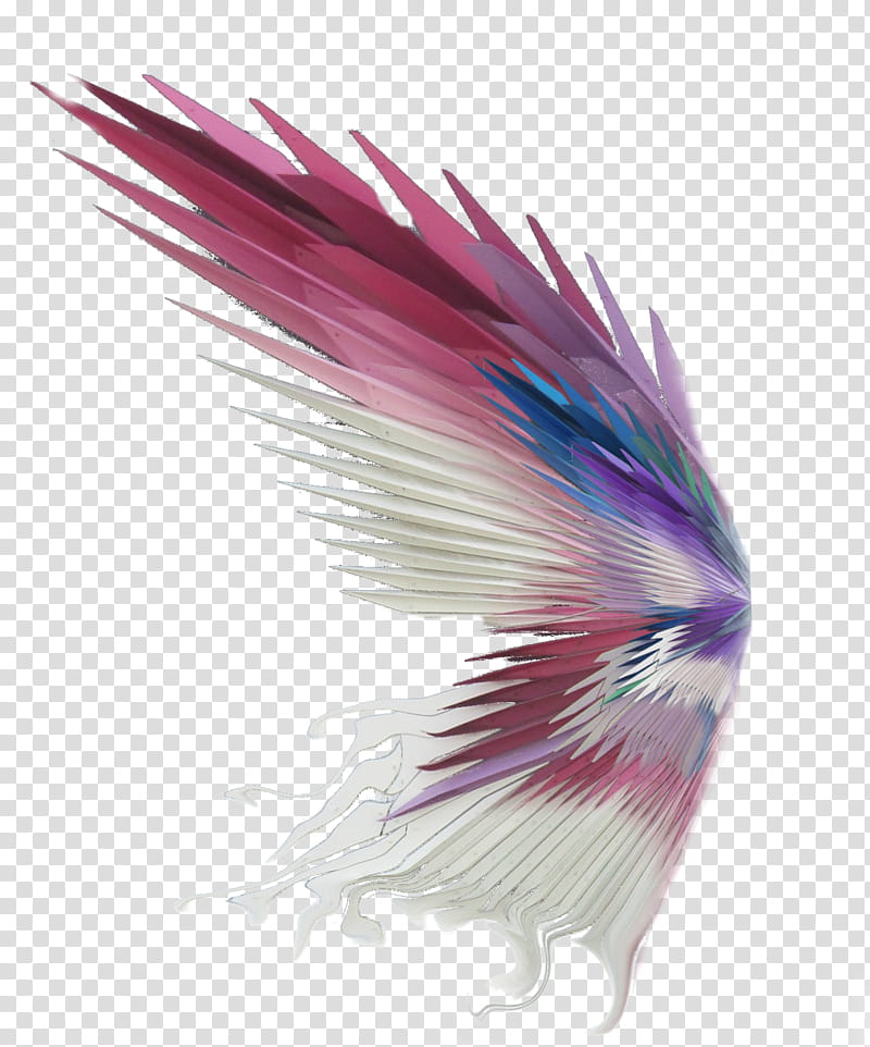 Paper Wings transparent background PNG clipart