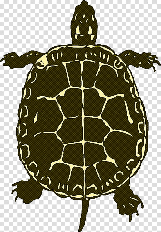 Sea Turtle, Box Turtles, Encapsulated PostScript, Computer Icons, Silhouette, Royaltyfree, Tortoise, Pond Turtle transparent background PNG clipart