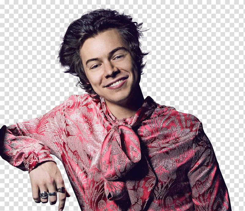 Harry Styles, Harry Styles in red and gray floral long-sleeved shirt transparent background PNG clipart