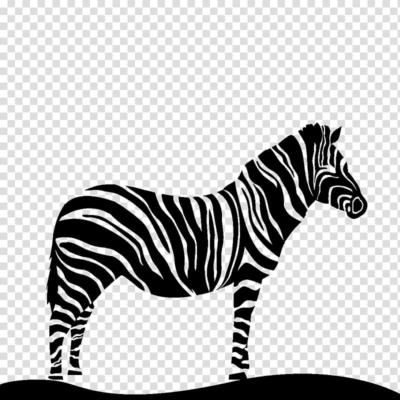 Zebra, Tiger, Quagga, Black White M, Cat, Animal, Black M, Wildlife transparent background PNG clipart