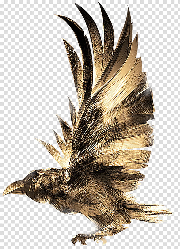 Eagle Bird, Common Raven, Crow, Drawing, Crows, Golden Eagle, Feather, Bird Of Prey transparent background PNG clipart