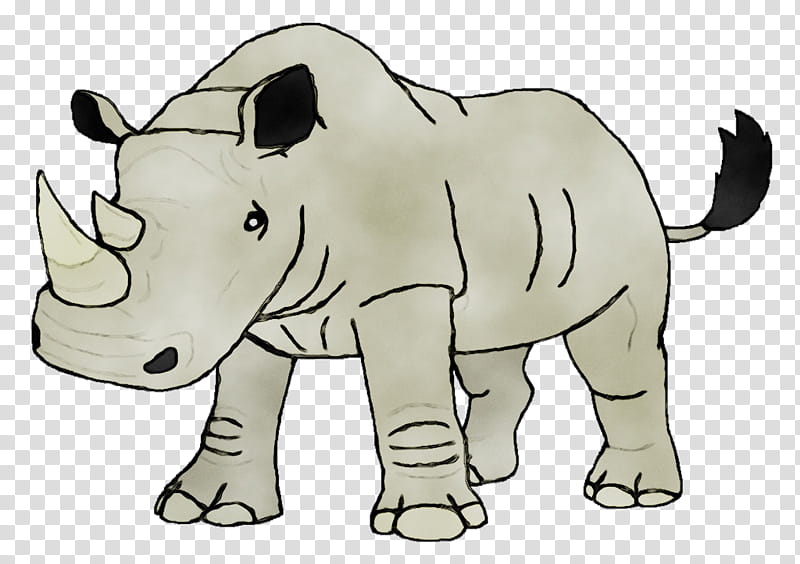 Bear, Indian Elephant, African Elephant, Rhinoceros, Cattle, Horse, Line Art, Cartoon transparent background PNG clipart