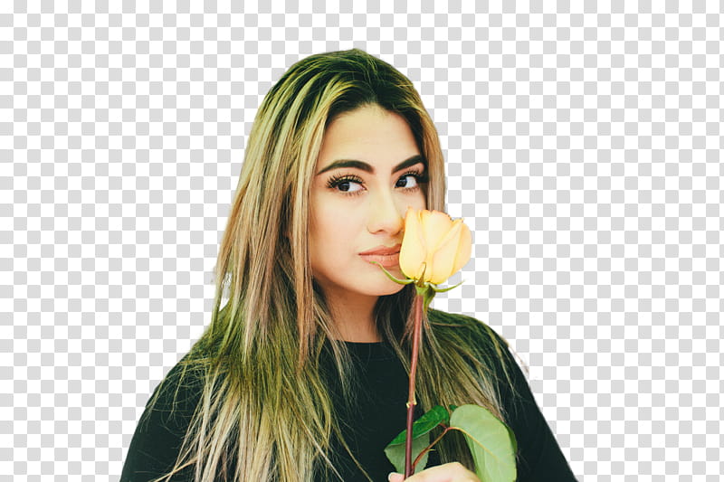 ALLY BROOKE transparent background PNG clipart