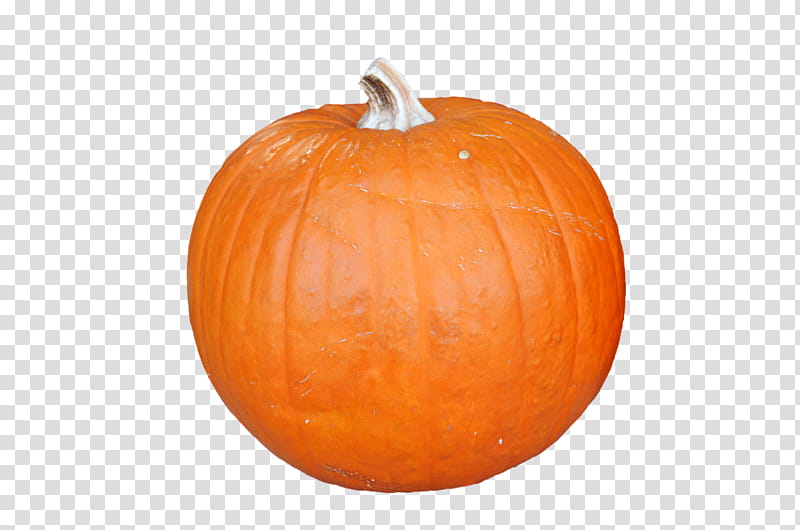 Pumkin DSC  transparent background PNG clipart