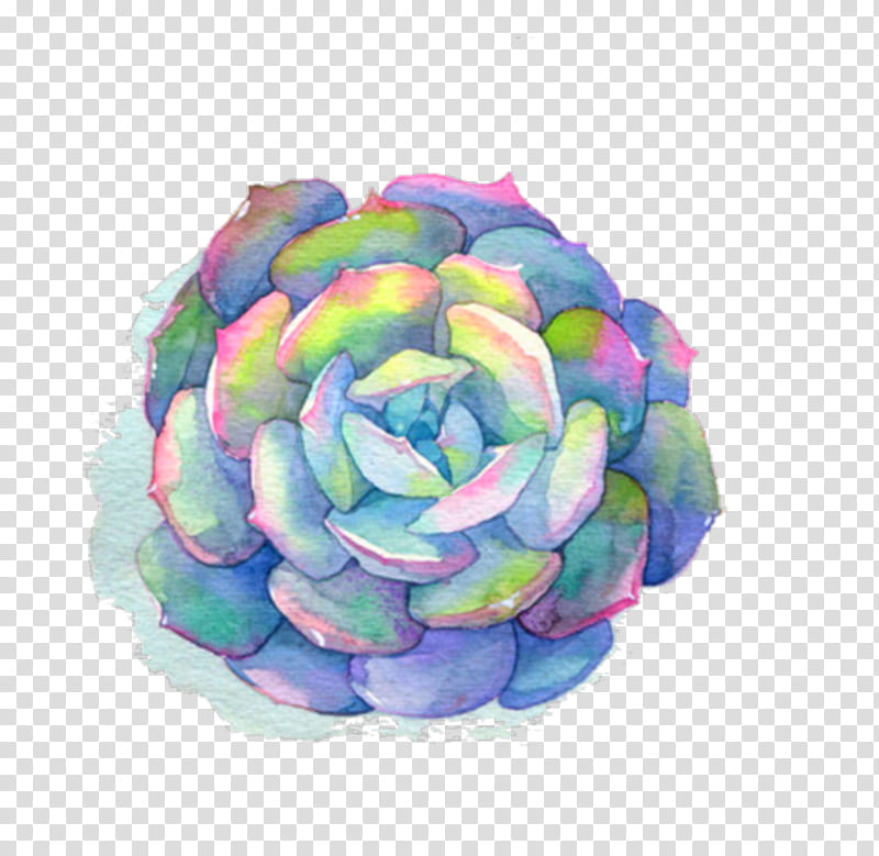 Blue Watercolor Flowers, Watercolor Painting, Succulent Watercolor, Succulent Plant, Drawing, Cactus, Plants, Printmaking transparent background PNG clipart