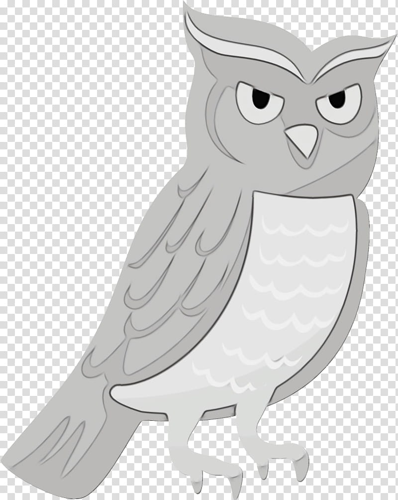 owl white bird bird of prey, Watercolor, Paint, Wet Ink, Cartoon, Eastern Screech Owl, Beak, Snowy Owl transparent background PNG clipart