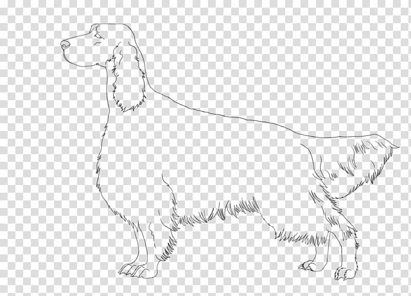 Irish Setter Lineart, dog illustration transparent background PNG clipart