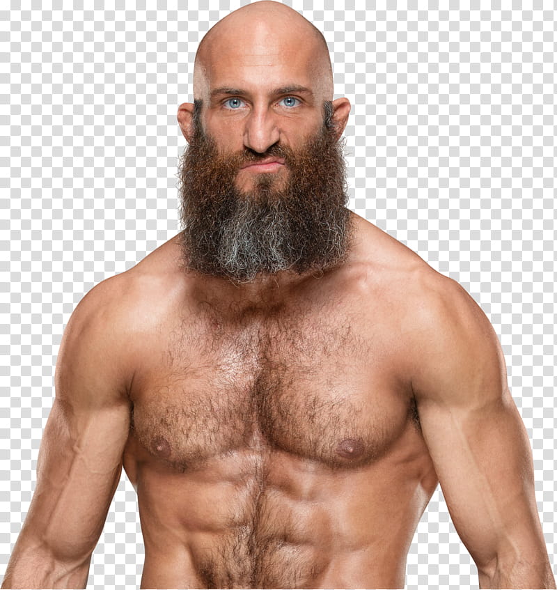 Tomasso Ciampa  NEW transparent background PNG clipart