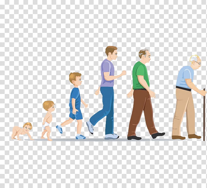 Group Of People, Development Of The Human Body, Life, Life Expectancy, Age, Old Age, Infant, Child transparent background PNG clipart