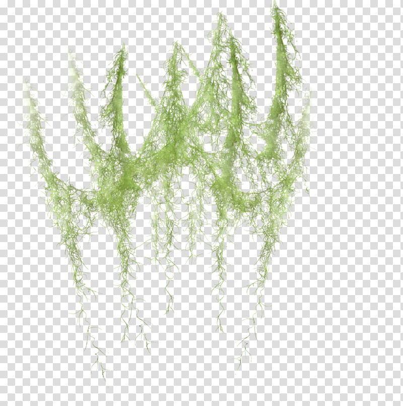 Green Grass, Twig, Plant Stem, Plants, Sticker, Flowerpot, Leaf, Garden Club transparent background PNG clipart