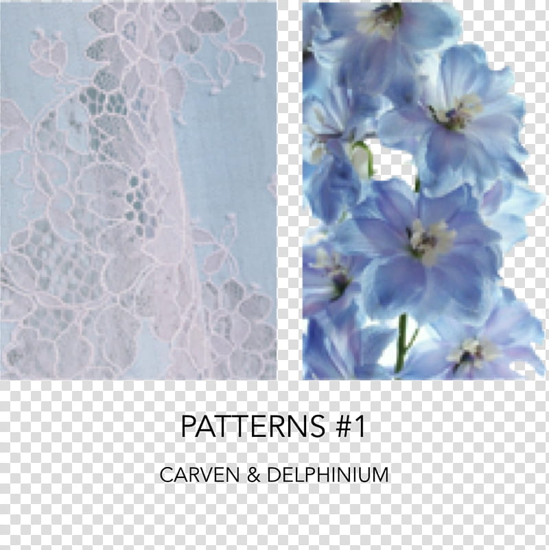 Floral Flower, Blue, Floral Design, Violet, Sky Blue, Fashion, Larkspur, J transparent background PNG clipart