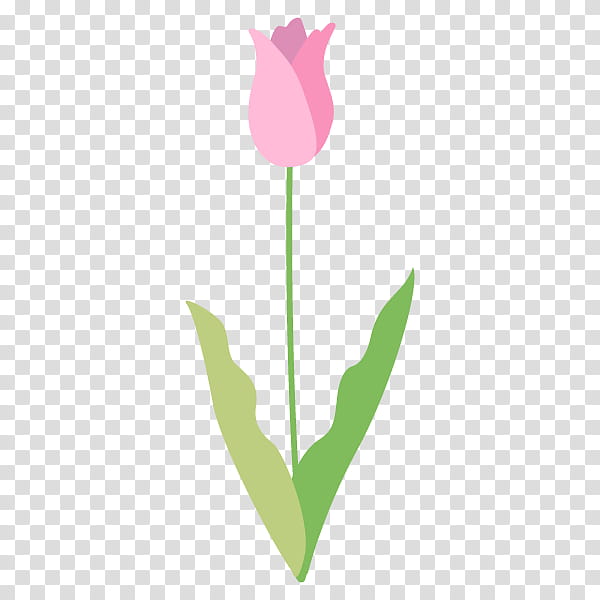 Lily Flower, Tulip, Plant Stem, Leaf, Computer, Heart, Green, Pink transparent background PNG clipart