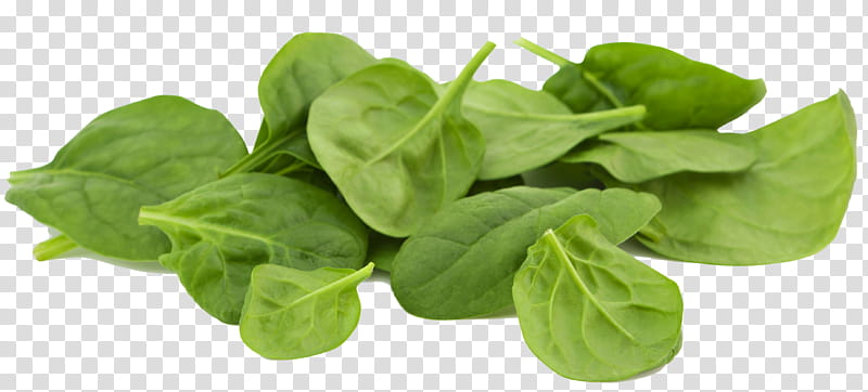Basil Leaf, Healthy Diet, Food, Vitamin, Eating, Eye, Nutrient, Nutrition transparent background PNG clipart