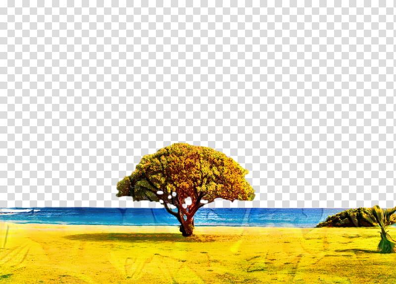 Cartoon Nature, Sky, Cloud, Sunset, Beach, Golden Hour, Sea, Blue transparent background PNG clipart