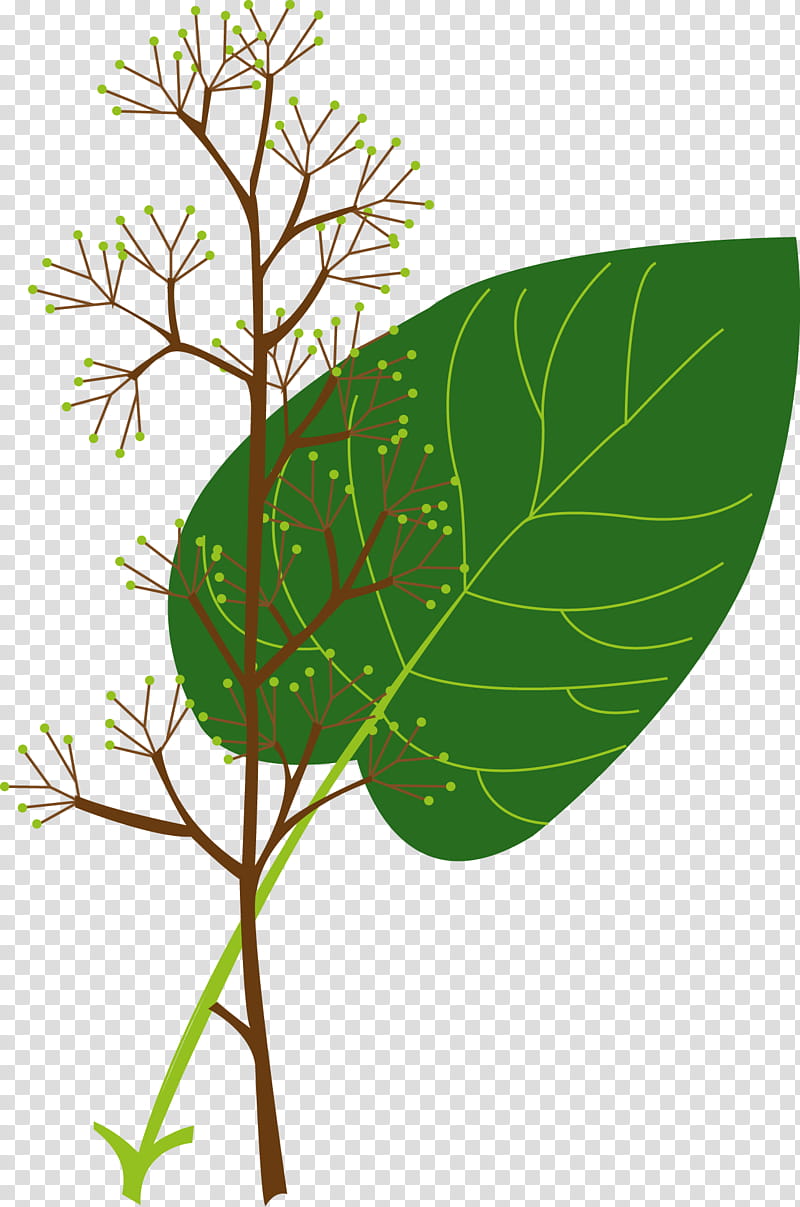 Plants, Branch, Autogenic Training, Heilpraktiker, Plant Stem, Relaxation, Monastery, Flora transparent background PNG clipart