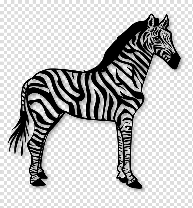 Zebra, Watercolor Painting, Animal Figure, Mane, Horse, Head, Wildlife, Blackandwhite transparent background PNG clipart