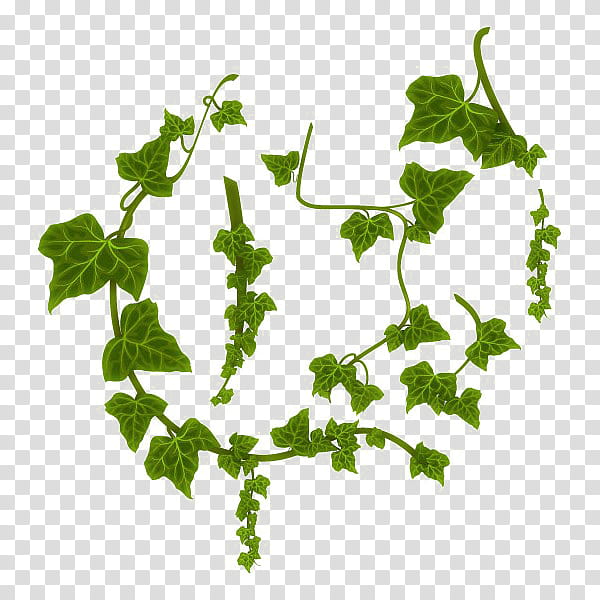 Jungle s, green leafed plant animated illustration transparent background PNG clipart