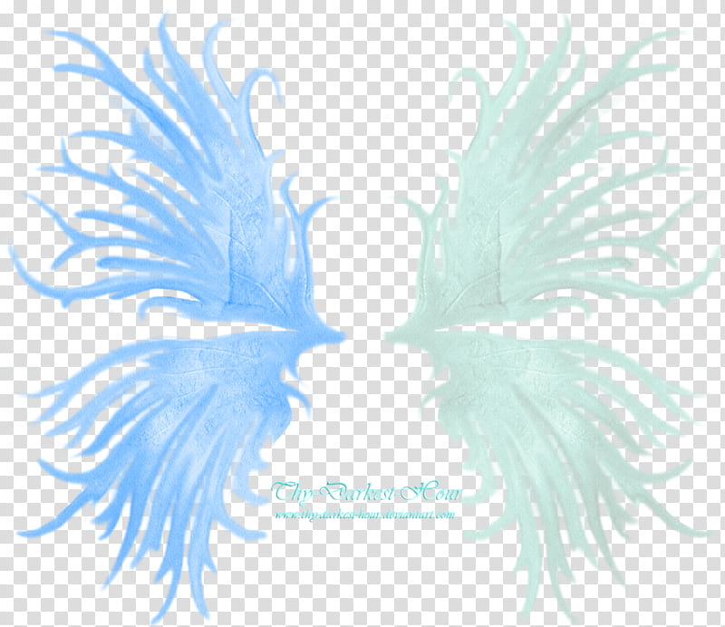 Frilled Fairy Wings Blue And White Wings Transparent Background Png Clipart Hiclipart