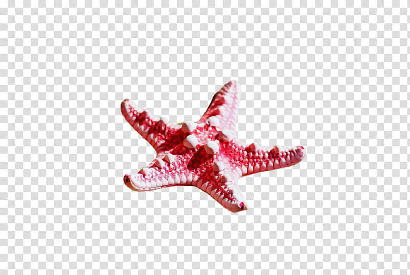 pink red starfish jewellery transparent background PNG clipart