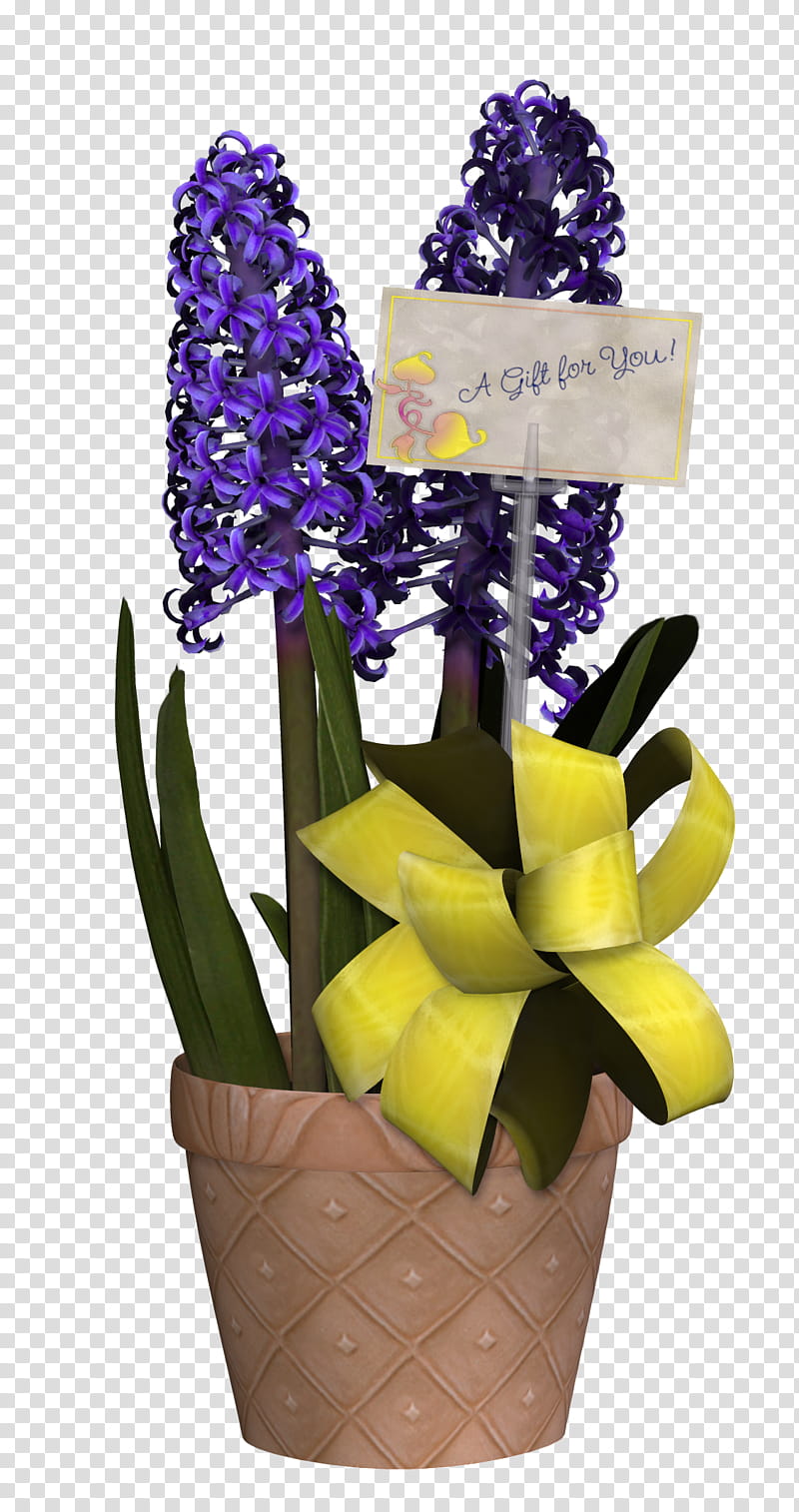 Hyacinth, purple petaled flowers transparent background PNG clipart