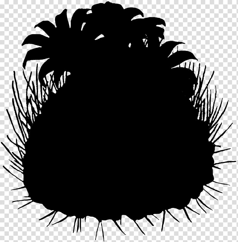 Leaf Silhouette, Computer, Tree, Sky, Black M, Sea Urchin, Plant, Logo transparent background PNG clipart