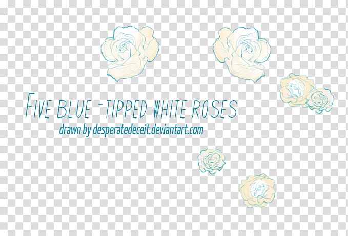 Blue tipped White Rose s, white and beige flowers transparent background PNG clipart