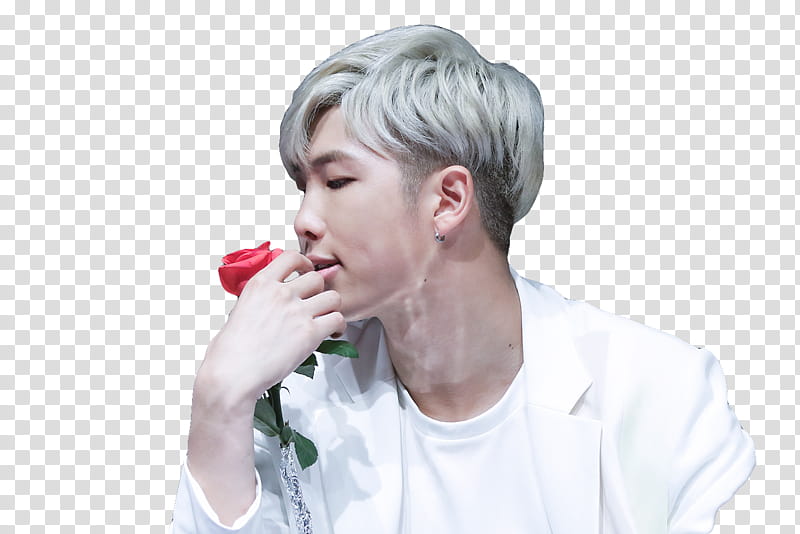 kim namjoon , BTS Rap Monster holding red rose transparent background PNG clipart