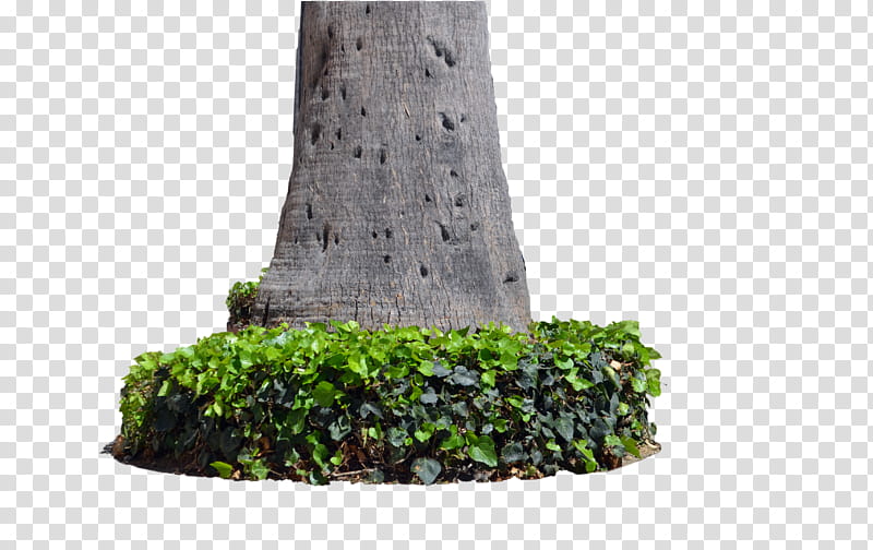 Tree Trunk W Plants  , gray stone surrounded by green bush transparent background PNG clipart