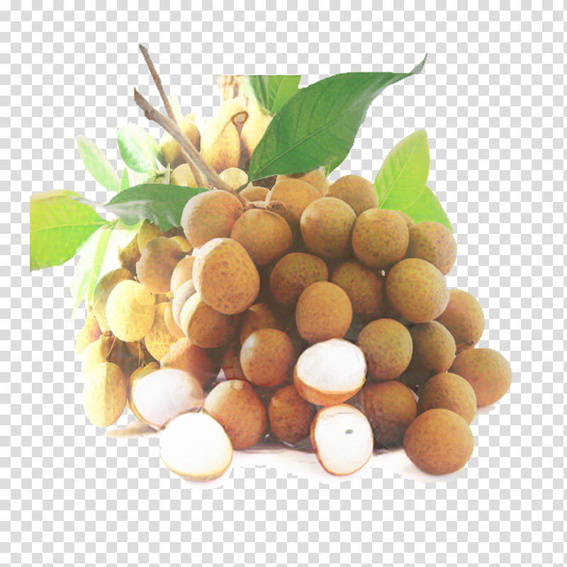 Family Tree, Longan, Food, Vegetarian Cuisine, Macadamia, Tree Nut Allergy, Superfood, Natural Foods transparent background PNG clipart