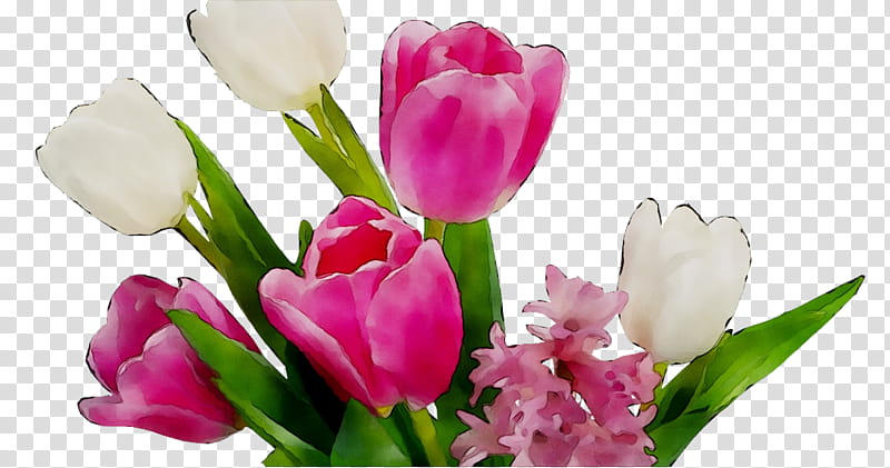 Floral Spring Flowers, Tulip, Flower Bouquet, Cut Flowers, Klinika Glazunovoy, Floral Design, Color, Vase transparent background PNG clipart
