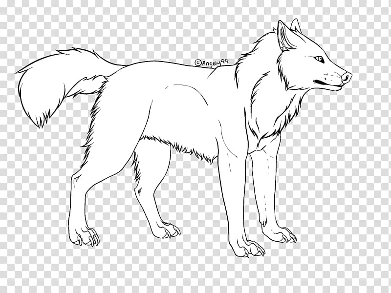 Free Wolf Line Art, wolf artwork transparent background PNG clipart