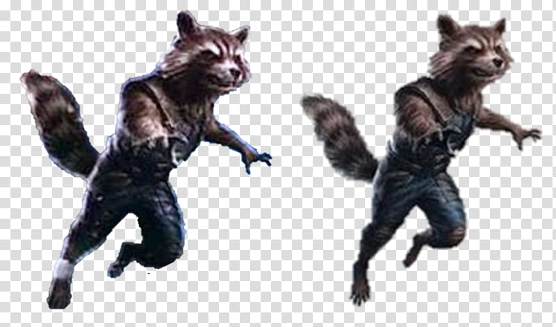 Avengers Endgame Rocket Raccoon  transparent background PNG clipart