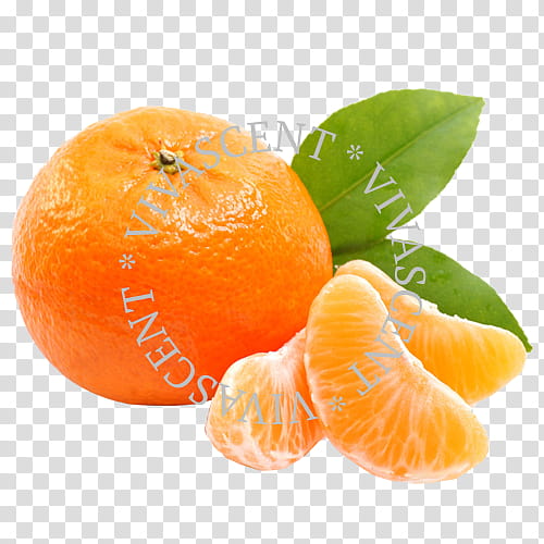 Lemon, Mandarin Orange, Tangerine, Satsuma Mandarin, Fruit, Kinnow, Nanfengmiju, Clementine transparent background PNG clipart