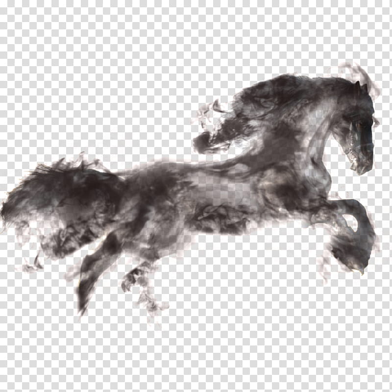 Watercolor Animal, Ink, Advertising, Watercolor Painting, Black, Horse, Stallion, Mane transparent background PNG clipart