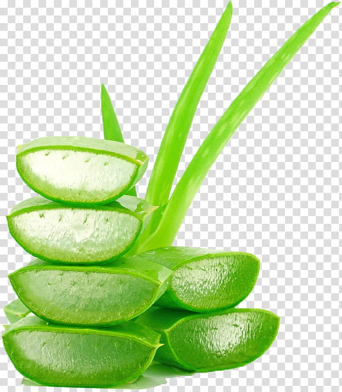 Aloe Vera Leaf, Lotion, Skin, Gel, Cream, Moisturizer, Cosmetics, Hyaluronic Acid transparent background PNG clipart