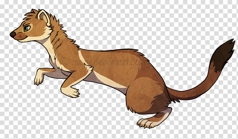 Lion Drawing, Stoat, Ferret, Blackfooted Ferret, Cat, Artist, Animal, Mustelids transparent background PNG clipart