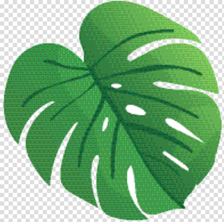 Green Leaf Logo, Botany, Plant, Symbol, Monstera Deliciosa, Shamrock transparent background PNG clipart