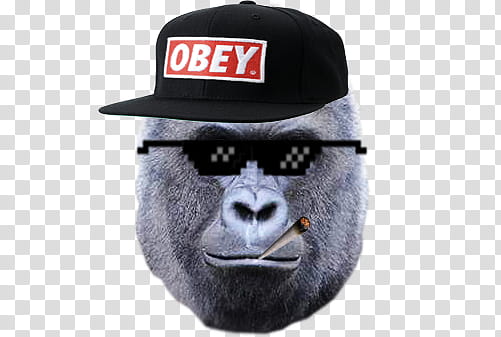 Mlg Harambe transparent background PNG clipart