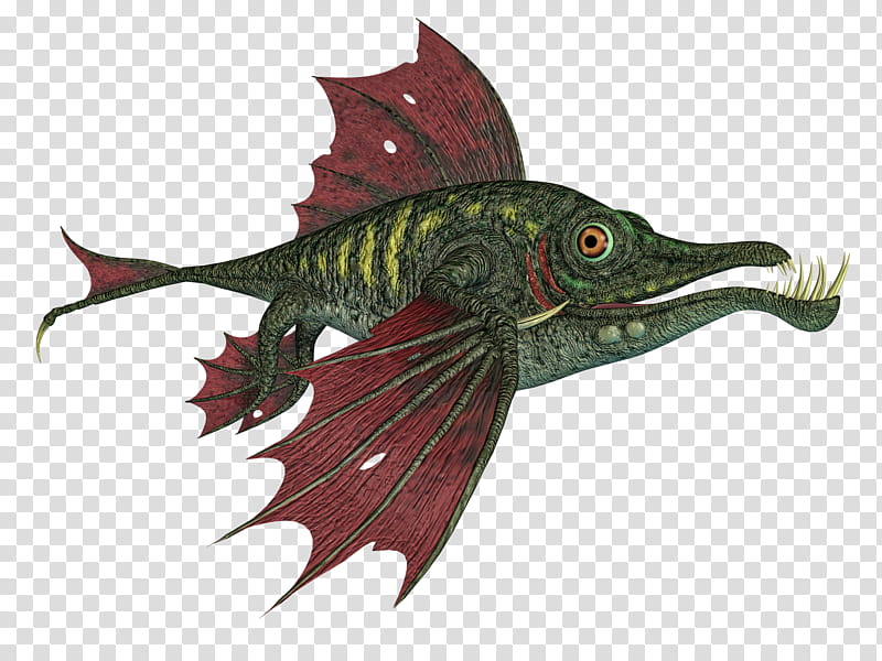 Dragon Fish, green and red fish graphic illustration transparent background PNG clipart