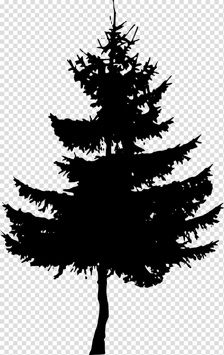 Christmas Black And White, Silhouette, Drawing, Pine, Tree, Shortleaf Black Spruce, White Pine, Colorado Spruce transparent background PNG clipart