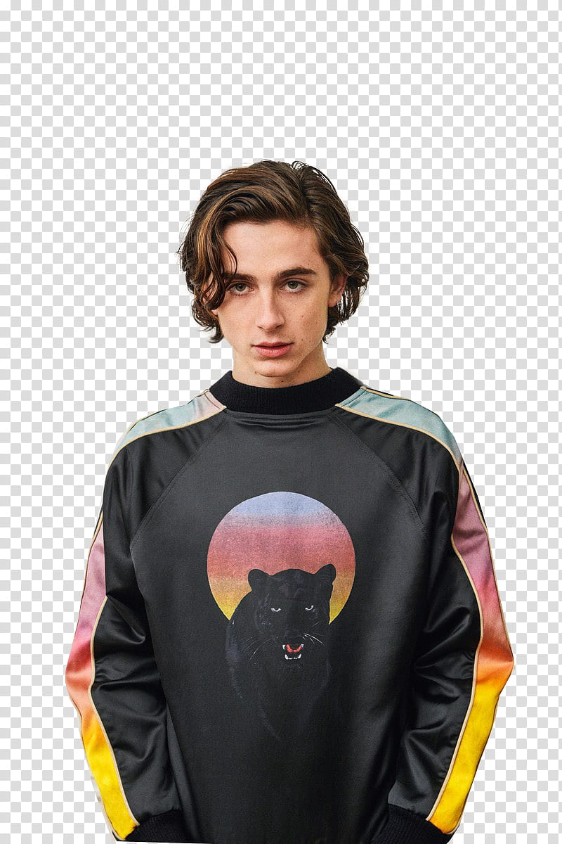 Timothee Chalamet, man in black sweater art transparent background PNG clipart
