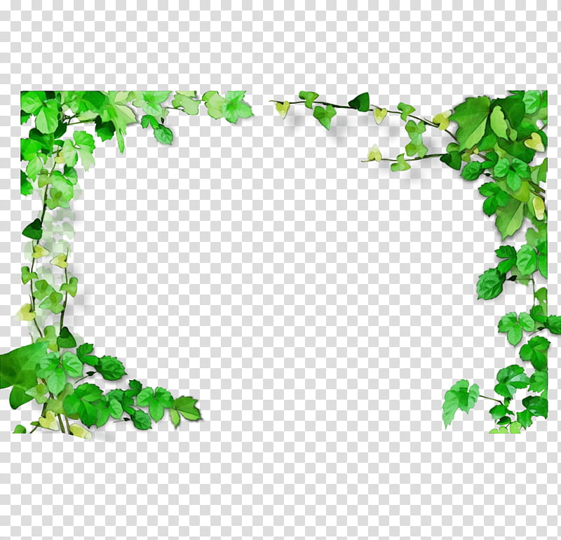 Green Leaf Color White Frames, Watercolor, Paint, Wet Ink, Frames, Branch, Plant Stem, Tree transparent background PNG clipart