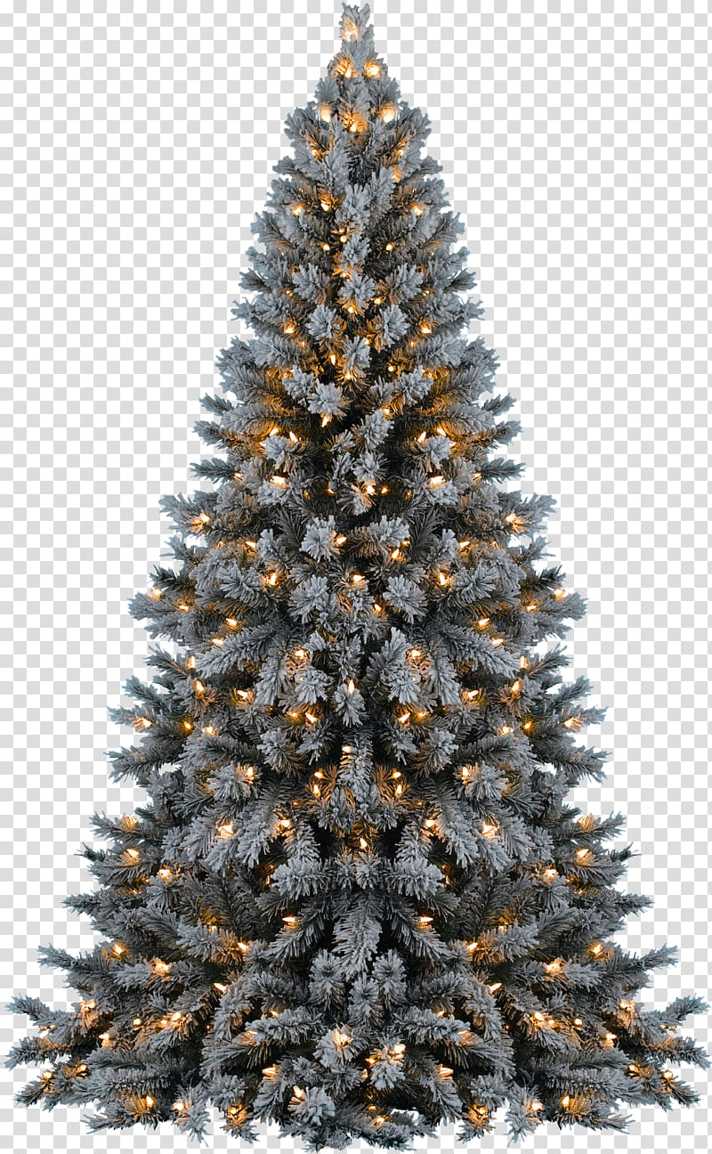 XMAS TREE, green Christmas tree illustration transparent background PNG clipart