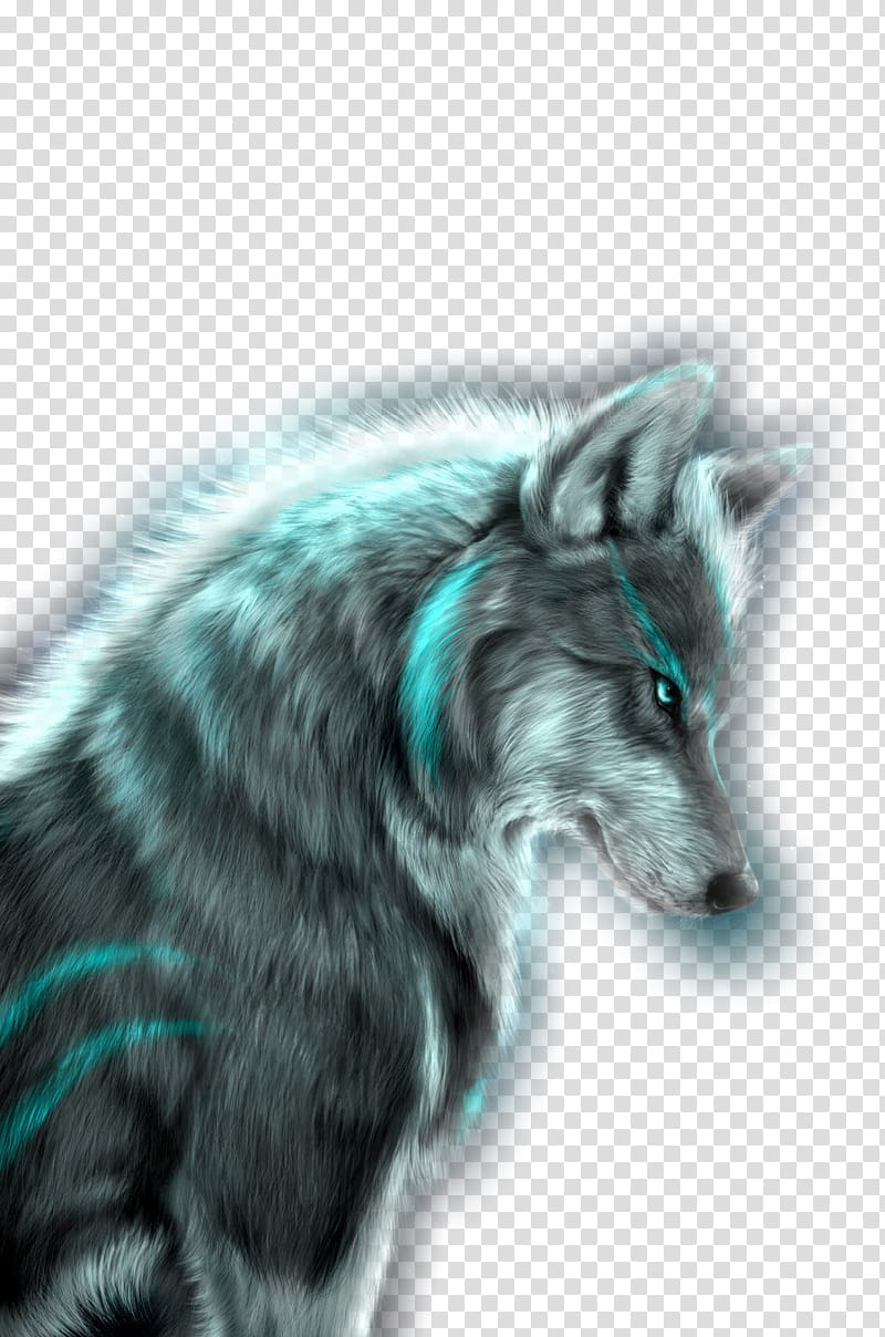 Wolf, Zedge, Ringtone, Iphone, Lone Wolf, Animal, Drawing, Mobile Phones transparent background PNG clipart