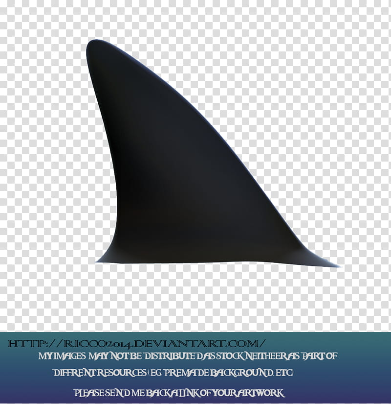 Shark Fin, shark fin illustration transparent background PNG clipart