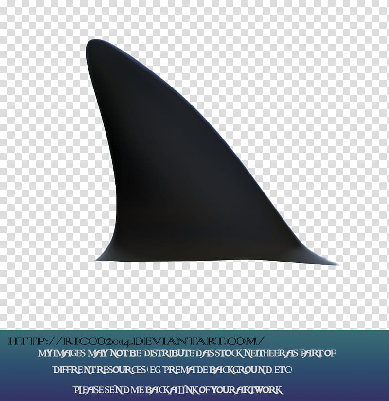 shark fin illustration