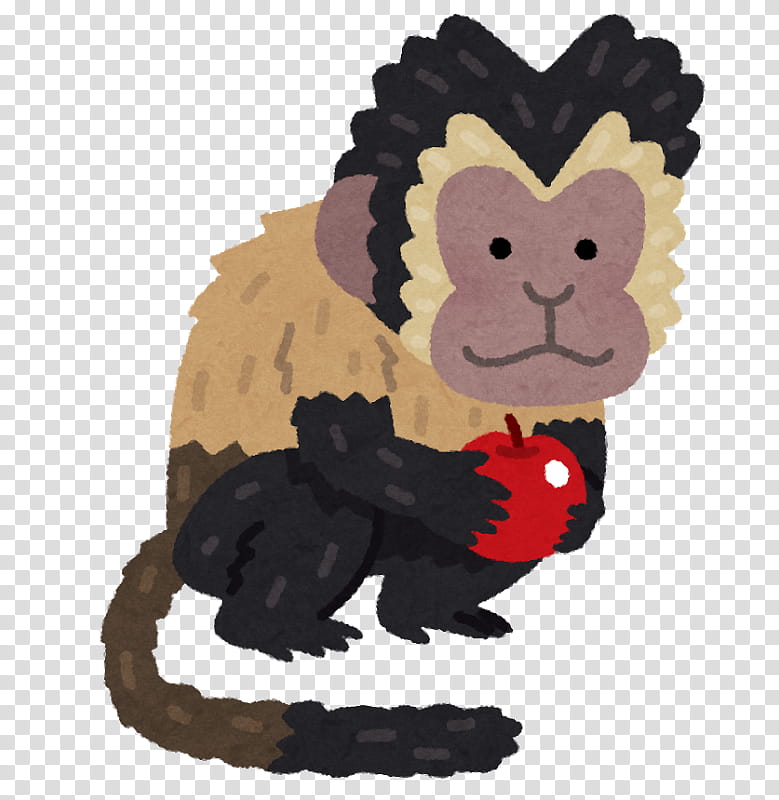 Monkey, Tufted Capuchin, Binary Option, Capuchin Monkeys, Cat, Cartoon, Market, Retail Foreign Exchange Trading transparent background PNG clipart