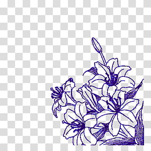 blooming purple flowers sketch transparent background PNG clipart thumbnail