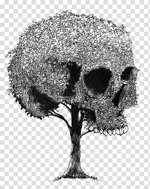 Skull s, black and white human skull tree illustration transparent background PNG clipart