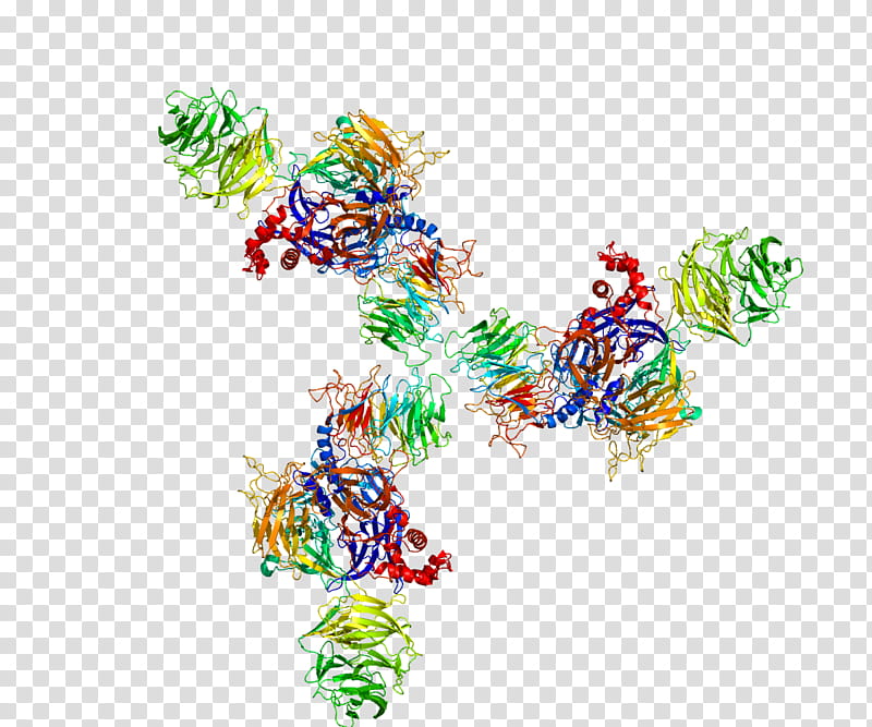 Ddb2, Protein, Dnabinding Protein, Dnabinding Domain, Dna Damagebinding Protein, Protein Complex, Ddb1, Xeroderma Pigmentosum transparent background PNG clipart